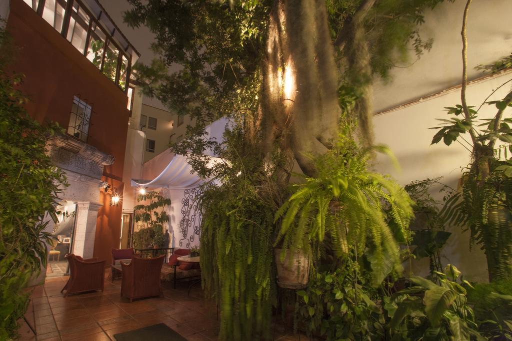 Villa Molina Λίμα Εξωτερικό φωτογραφία